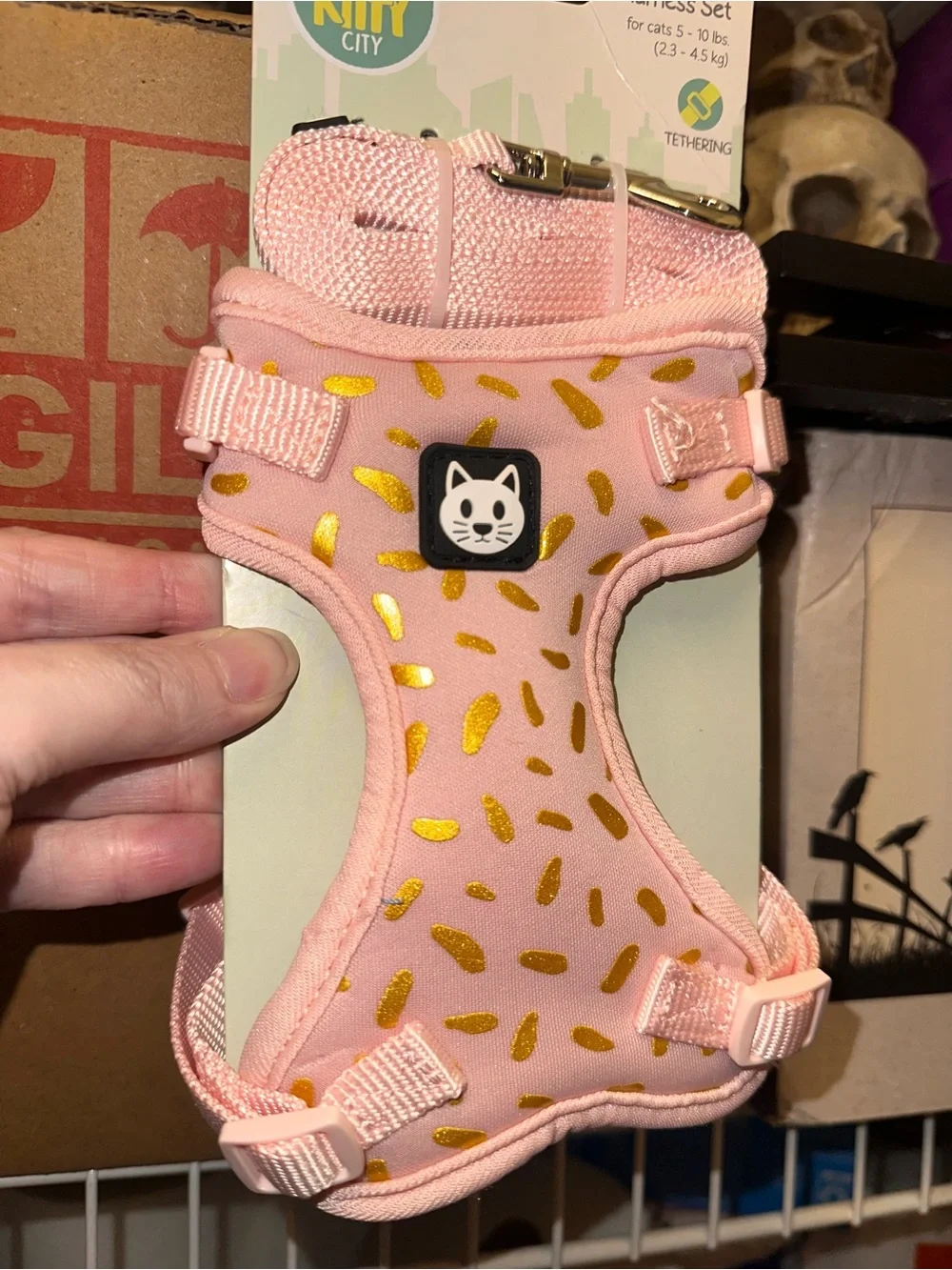Kitty City kitty city